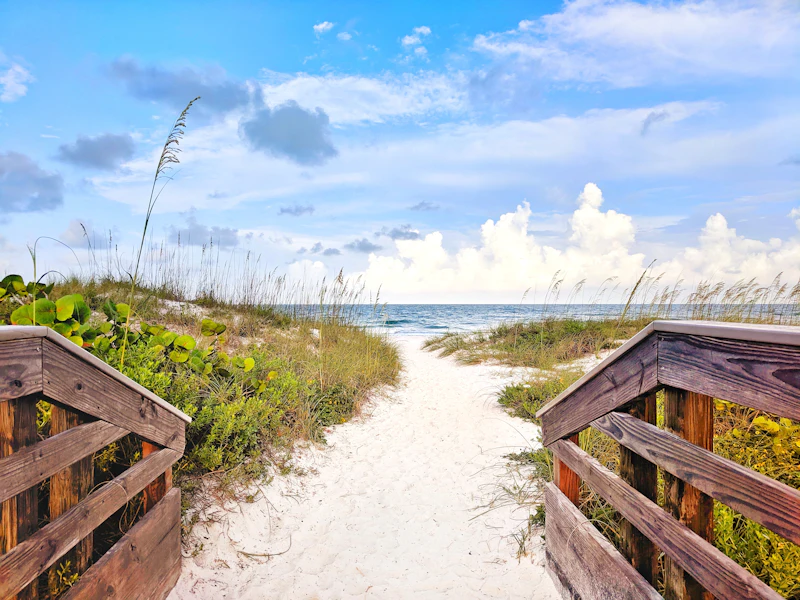 Wooden boardwalk leading through dunes to the beach